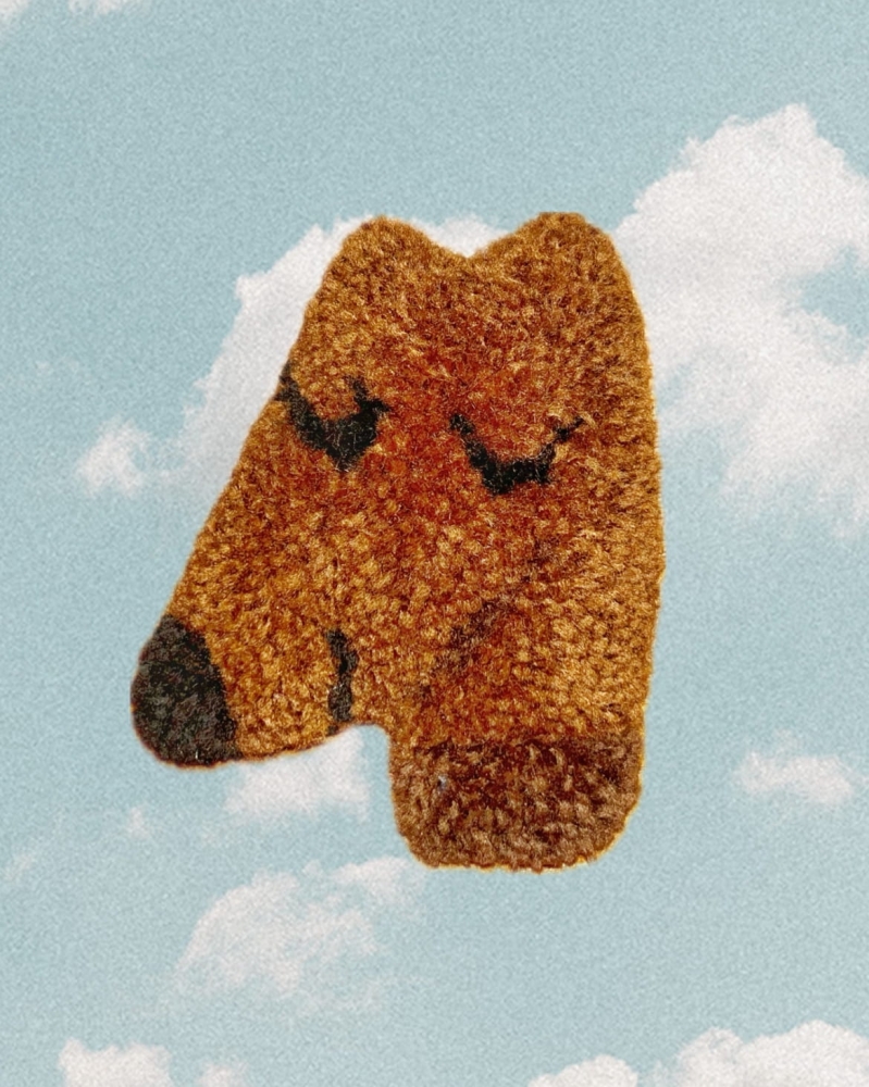 brązowy pies